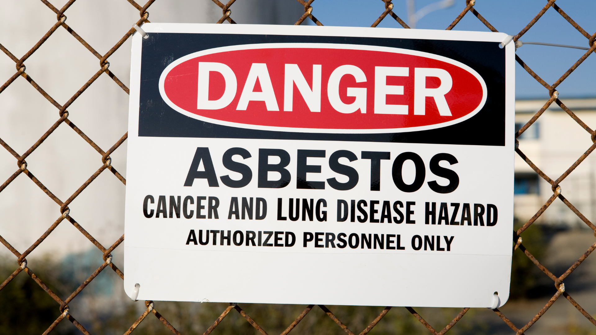 asbestos survey companies